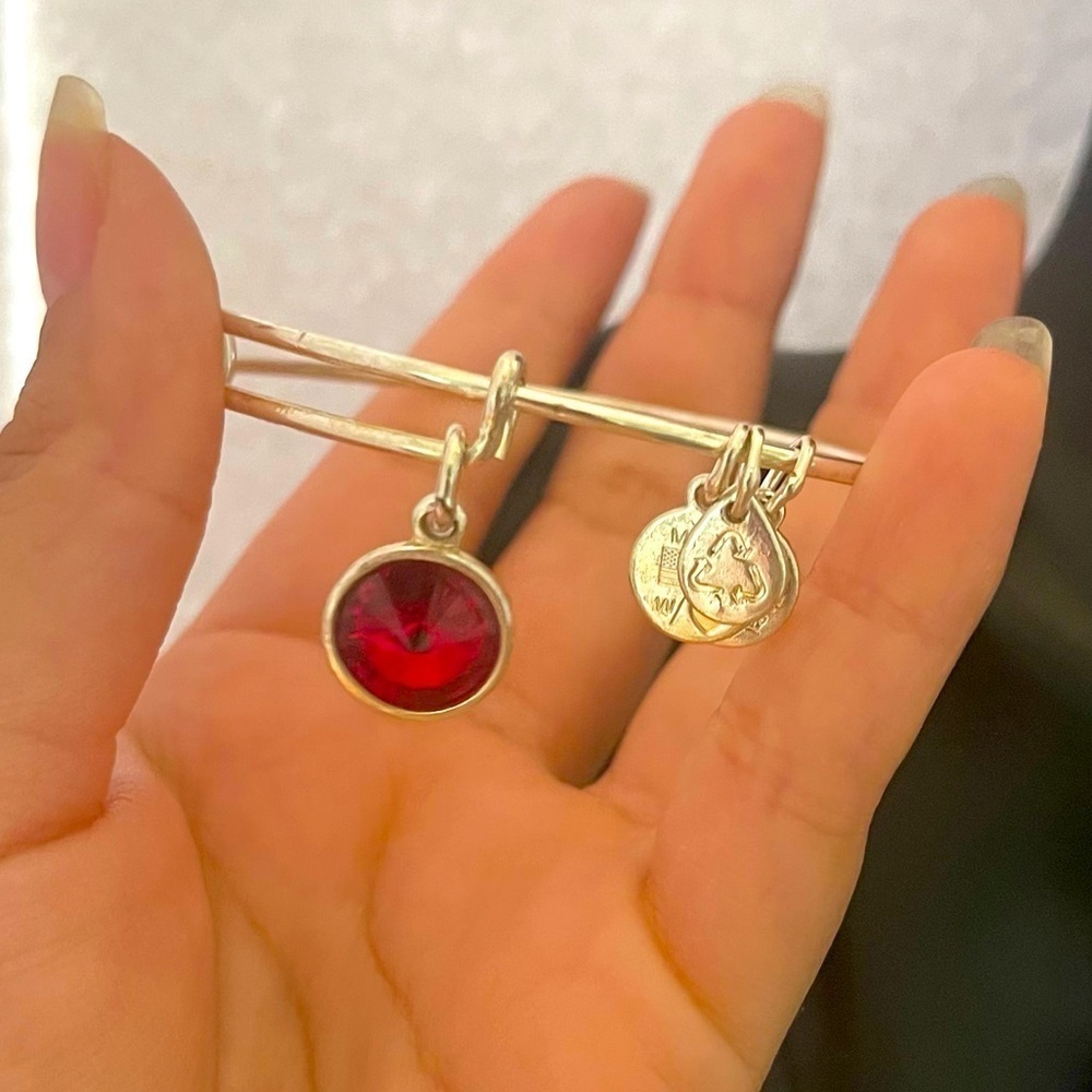 Alex and ani red stone adjustable charm bracelet